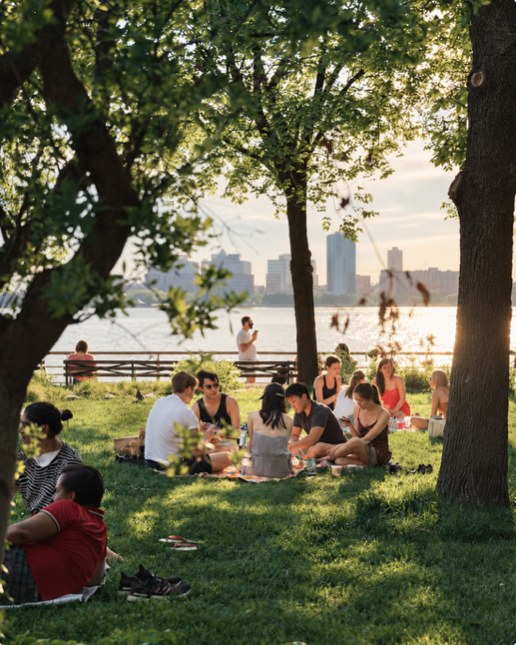 Friends spending an afternoon together in a waterfront park.